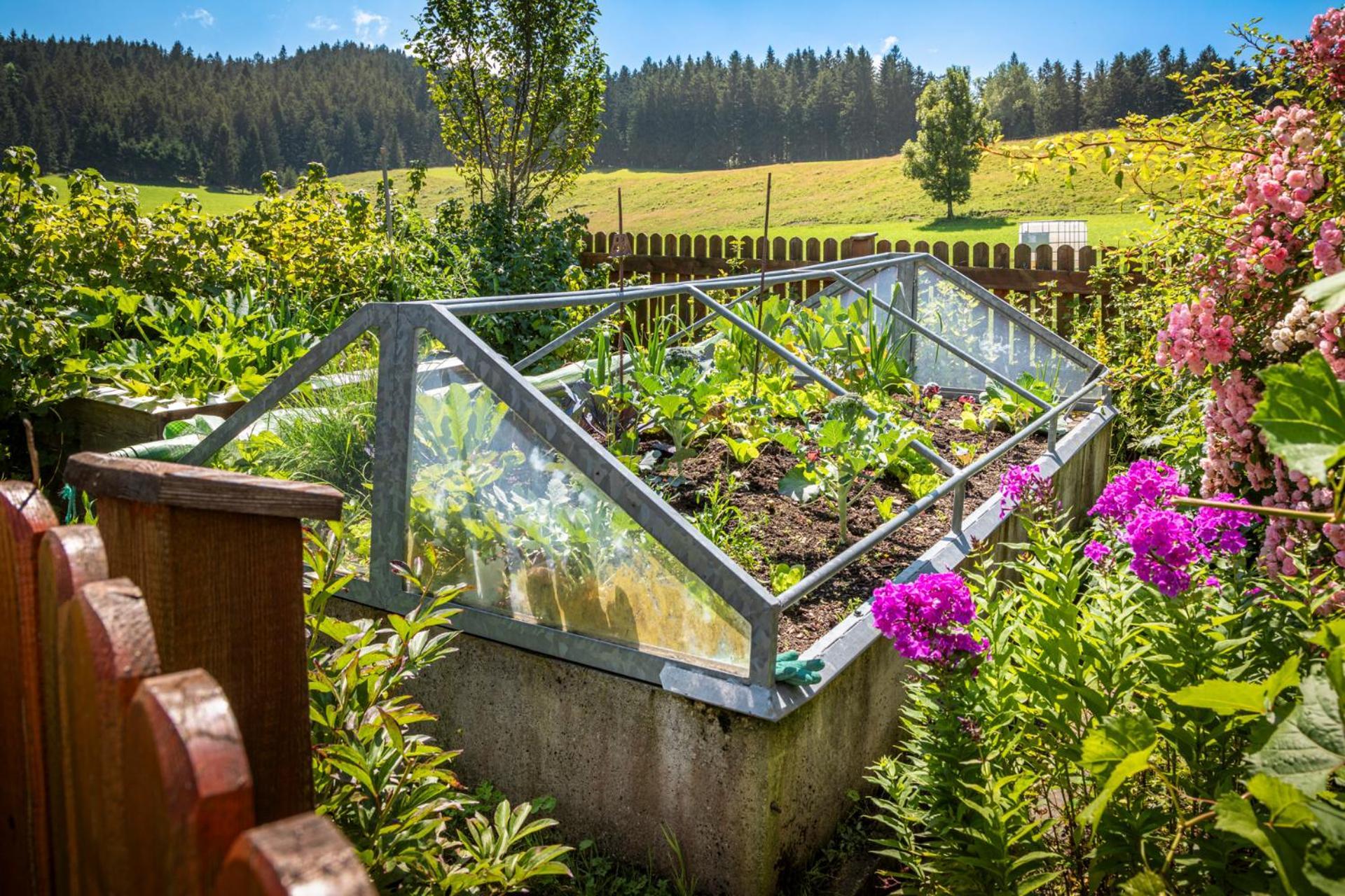 Ferienwohnung Angerlgut Sankt Koloman Exterior foto