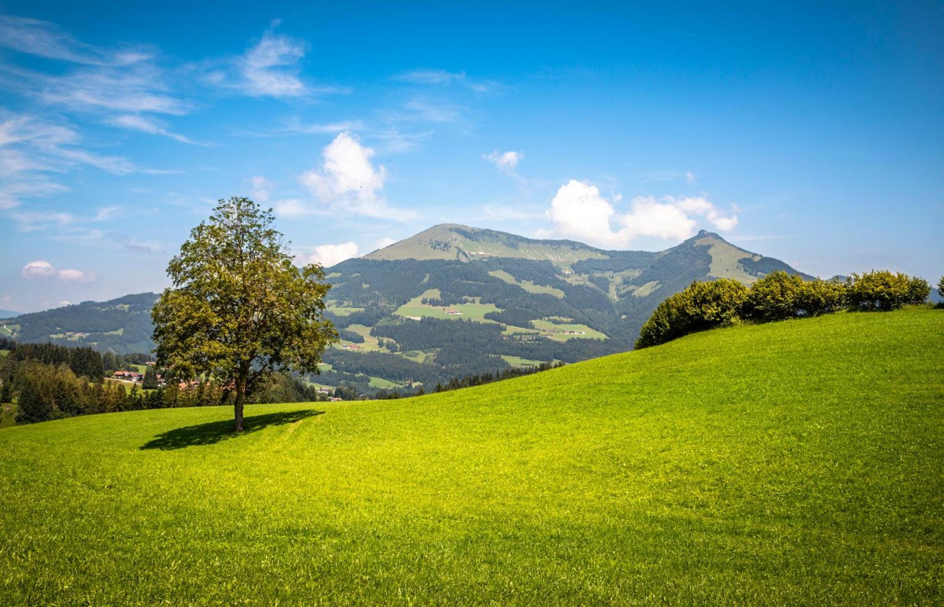 Ferienwohnung Angerlgut Sankt Koloman Exterior foto